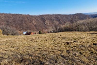 Teren de 3600 mp, în Central
