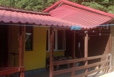Casă cu 2 camere în Băița - 2