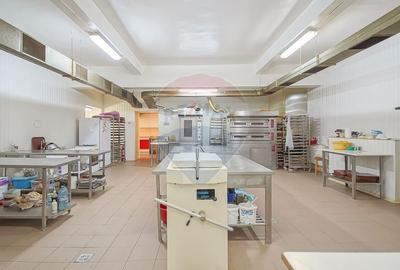 Spatiu comercial de 200mp de inchiriat in zona Centrul Civic - 2