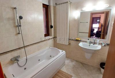 Dorobanti, Floreasca, duplex, 140mp, semimobilat - 6