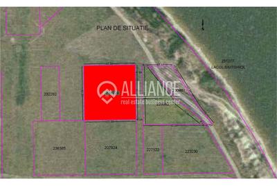 PALAZU MARE(COD 05) - Teren intravilan priveliște directă la Siutghiol - 4