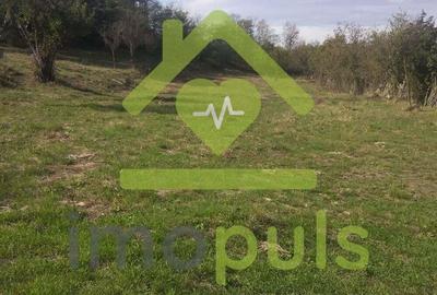 ? Teren extravilan in Mehadia - 2,78 euro/1 mp. Comision 0% .? - 5