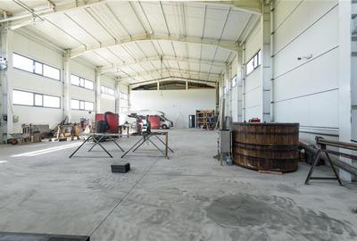 Spațiu comercial, de 590 mp, în Cărpiniș - 13