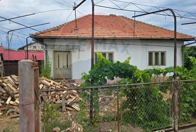 Casă cu 3 camere cu Teren 5000 Mp în Cislău - 12