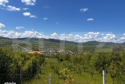 Spațiu comercial, în Șieu - 3