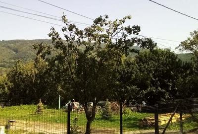 Teren de 2142 mp, în Valea Doftanei - 1