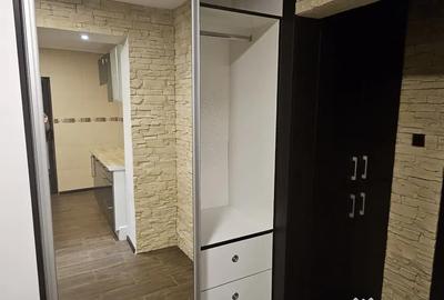 Apartament cu 2 camere decomandat în Paltiniș - 11