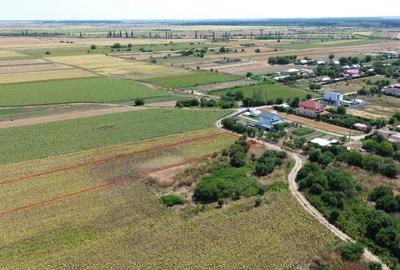 Teren de 10000 mp, în Dârza - 1