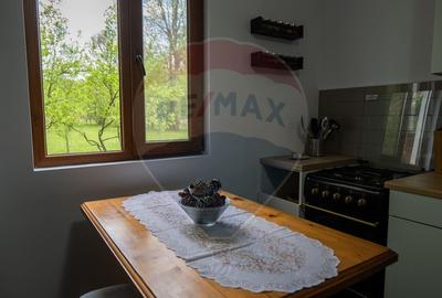 Vanzare vila, Stefesti-Prahova - 10