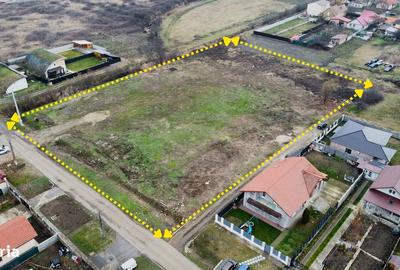 Teren de 6000 mp, în Săcălaz - 3