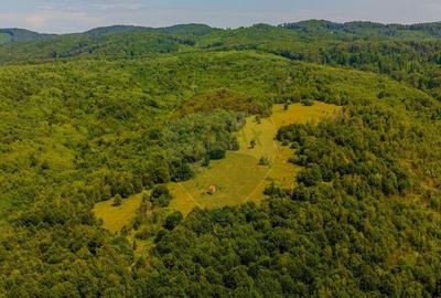 COMISION 0% Teren Grid/Inima Naturii/ Oportunitate de inv... - 5