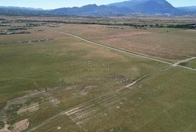 Teren de 14500 mp, în Glăjărie - 17