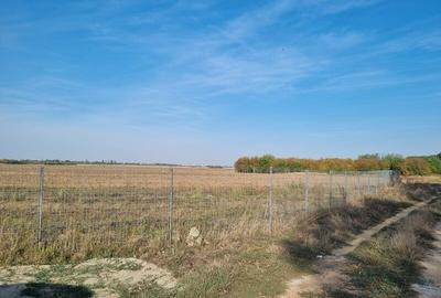 Vanzare Teren  Industrial Pantelimon Cernica 10000mp - 4