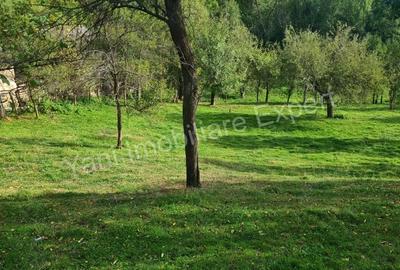 Teren de 2491 mp, în Arefu - 8