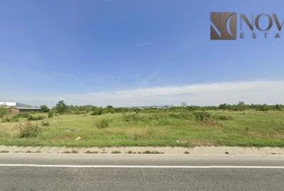 Teren 23.600 mp | Chitila - Centura Bucuresti | 0% Comision - 5