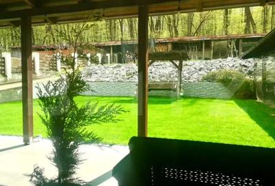 Casă cu 4 camere cu Teren 800 Mp în Central - 6