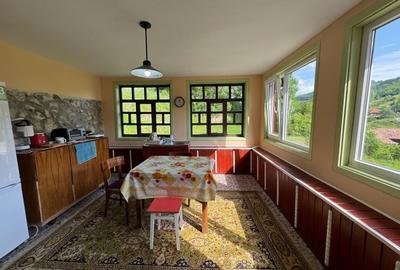 Casa de vanzare, 5 cam., 200 mp. + 5000 mp. teren, Valea Ariesului - 14