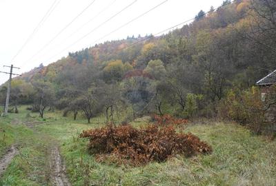 Teren 35,232mp Sighetu Marmatiei / Strada Valea Cufundoasa - 8