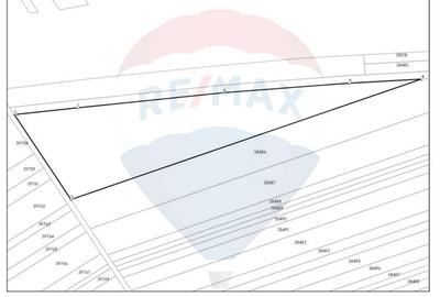 Teren Construcții intravilan de 11842 mp, în Bolintin-Deal - 7