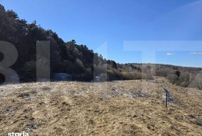 Teren de 4000 mp, în Făget - 7