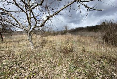 Teren intravilan in suprafata de 2000 mp, zona Episcopiei - 3