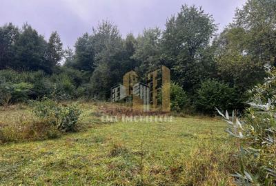 Teren de 1955 mp, în Șinca - 8