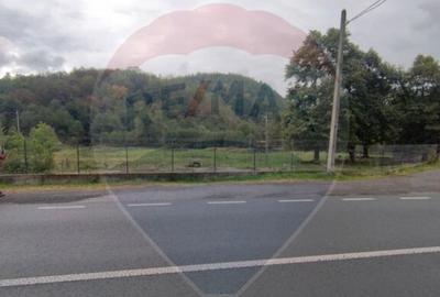 Teren intravilan 12.95 mp Tacasele - la soseaua principala - 4