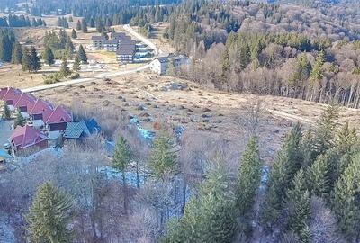 Teren 28.000mp Poiana MIca intre Monterai si Grand Chalet - 3