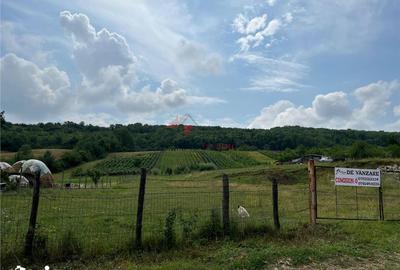 Teren de 3750 mp, în Tomești