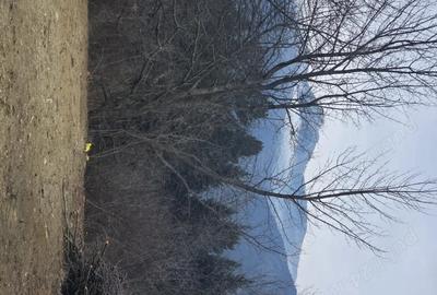 Teren de 2000 mp, în Hangu - 4