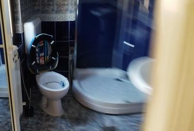 Vila deosebita, libera, zona centrala, ideal resedinta sau clinica, birouri - 14
