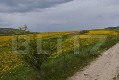 Teren de 3621 mp, în Petrești - 1