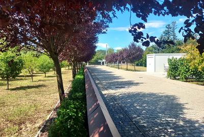 CLUB SNAGOV-VILA SUPERBA, TOTAL PRIVACY,FINISAJE LUX,CURTE 200O MP,565000 EURO - 2
