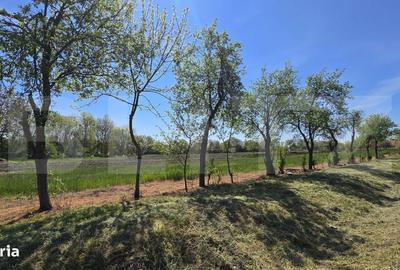 Spațiu comercial, în Lipovei - 1