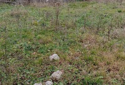 Casă în Traniș - 2