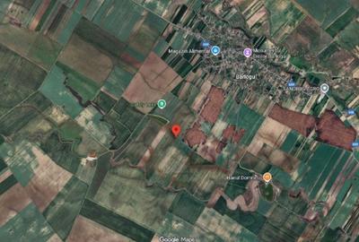 Teren de 6700 mp, în Bârlogu - 3