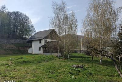 Casă cu 5 camere cu Teren 4000 Mp în Cricău - 7