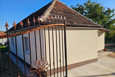 Casă cu 2 camere în Bălaia - 8