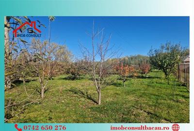 Casa parinteasca se vinde! CE1353 - 3