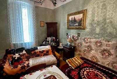Casă cu 6 camere cu Teren 4300 Mp în Otelec - 8