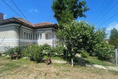 Casa Mihaesti 5 camere | 700MP Teren - 3