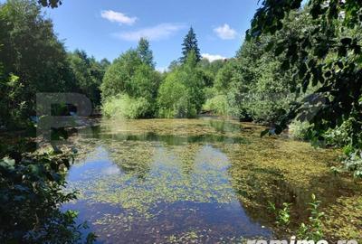 Casă cu 8 camere cu Teren 6060 Mp în Poiana Stampei - 3