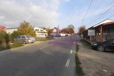 Teren de 5000 mp, în 1 Decembrie - 3