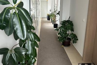 Apartament cu 3 camere decomandat, mobilat în Torontalului - 9