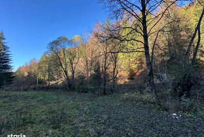 Teren de 2882 mp, în Dâmbovicioara - 10