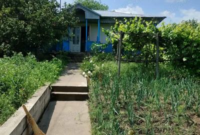 Vand casa cu teren de 2000mp in Bogdanesti - 1