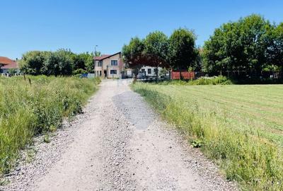 Teren intravilan 10.000 mp in Stupini, Brasov - 4