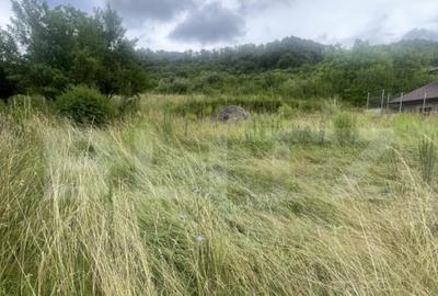 Teren intravilan de 15 ari Valea Jelnei, str. Campului - 2