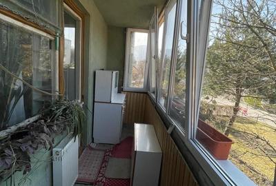 Apartament cu 2 camere în Brebina - 17