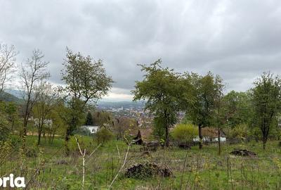 Teren de 1200 mp, în Săsar - 1